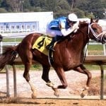 Chris Griffin to fill in as Monmouth announcer