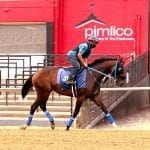 “Little weirdo” Cyrus builds big following
