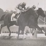 Tiz the Law ruled out of Preakness