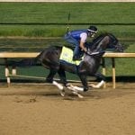 Preakness Memories: The courageous Summer Squall