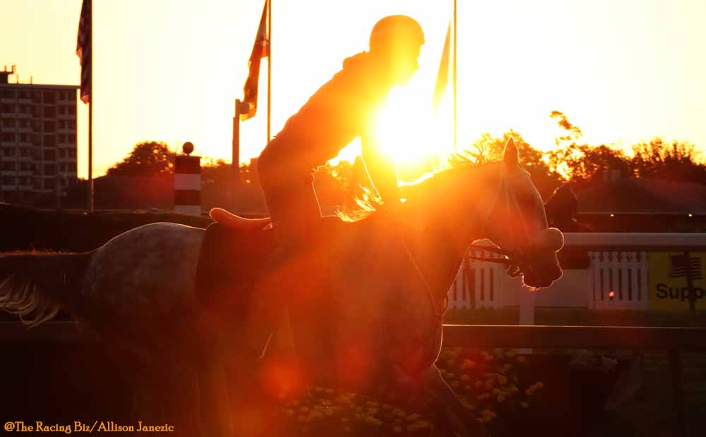 Maryland Racing Commissioners seek “more active role”