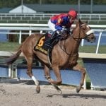 Tenfold looks to double up in Pimlico Special