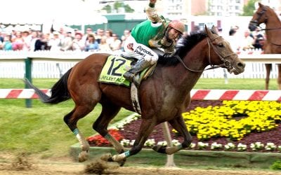 BackTracks: The memorable journey of Afleet Alex