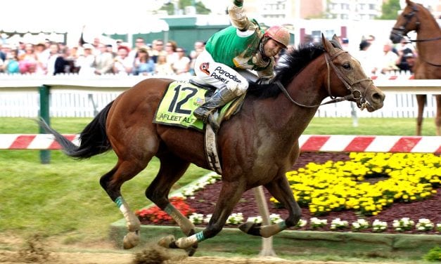 Preakness Memories: Afleet Alex and adversity