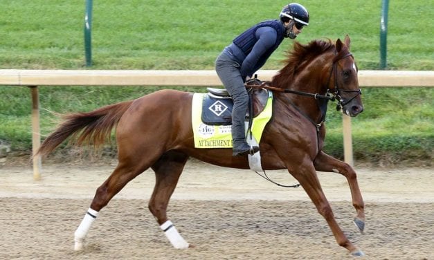 Kentucky Derby: Attachment Rate first Va-bred in years