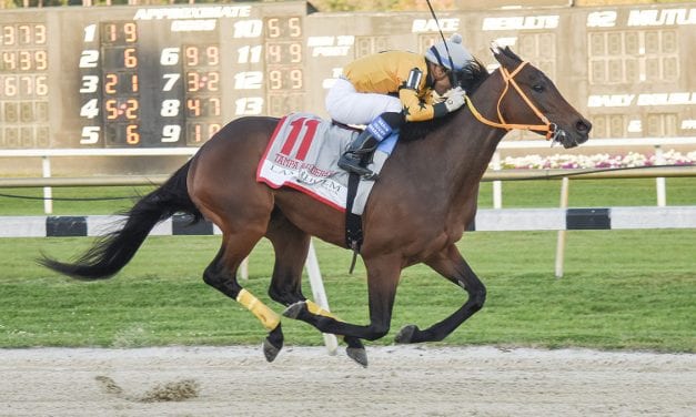 Kentucky Derby: King Guillermo out, targets Preakness