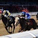 Lasix ban likely result of McConnell bill