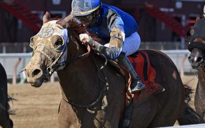 Midlantic-breds in Saratoga Stakes July 20