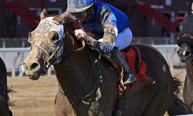 Midlantic-breds in Saratoga Stakes July 19