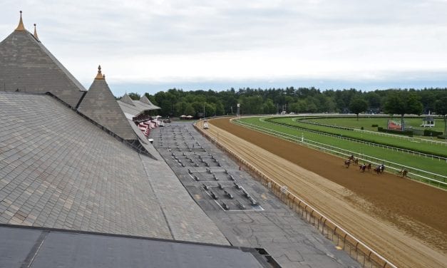 Our experts pick the Travers