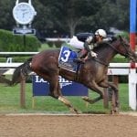 Jockey Club adds five new members