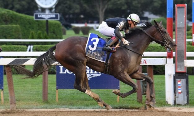 Redemption sought in Black-Eyed Susan