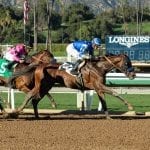 Preakness Profile: Pneumatic