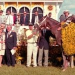 The case of the Man o’ War shoes