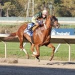 Be Sneaky breaks maiden at Laurel Park