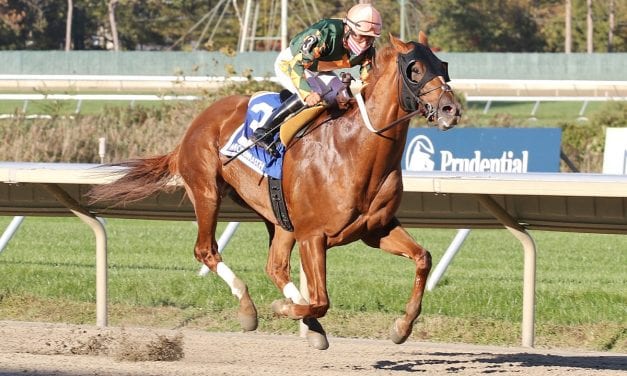 Premier Star shines in Jersey Shore Stakes