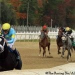 Laurel: 10 stakes winners collide in Whiteley