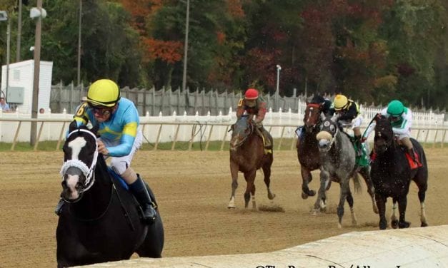 Laurel Park: 5 questions for Saturday stakes