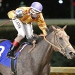 Jaxon Traveler heads Spectacular Bid noms