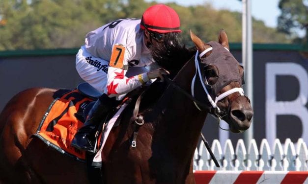 Preakness day stakes noms released