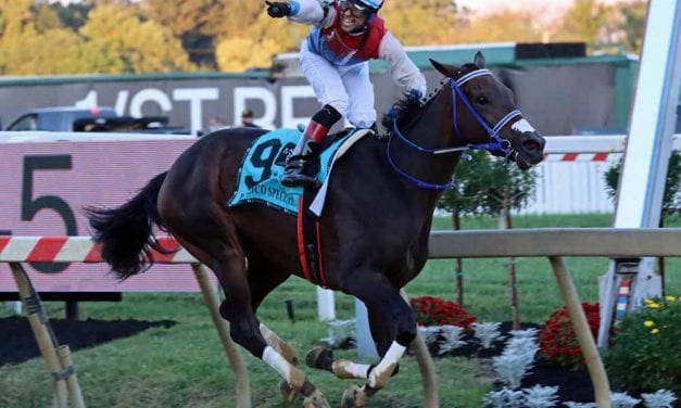 Harpers First Ride upsets Pimlico Special