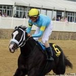 Laki seeking 8th stakes win in Challedon