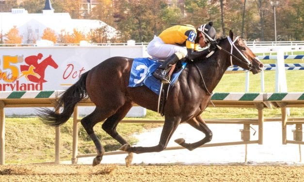 Unbeaten Jaxon Traveler heads Md. Futurity