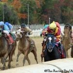 Md Million: Hello Beautiful romps in Distaff