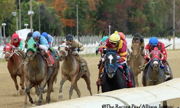 Maryland Million: Repeaters relatively rare