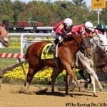 De Francis Dash “a lasting tribute”