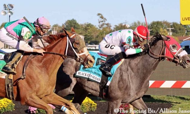 Miss Marissa posts Black-Eyed Susan upset