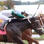 Md Million: Hello Beautiful romps in Distaff