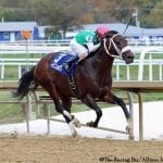 Alexander Crispin named top bug rider; Authentic horse of the year