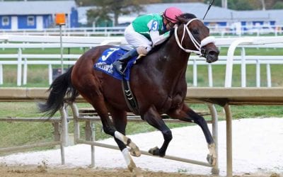 Maryland sire Imagining euthanized