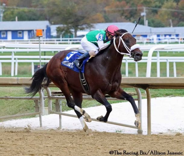 Laurel Park picks and ponderings Feb. 20, 2021 * The Racing Biz