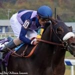 Maryland Million: 5 story lines to follow