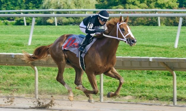 Maryland Million: Robb to saddle four