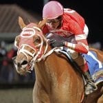 Coconut Cake pointed to Maryland Million