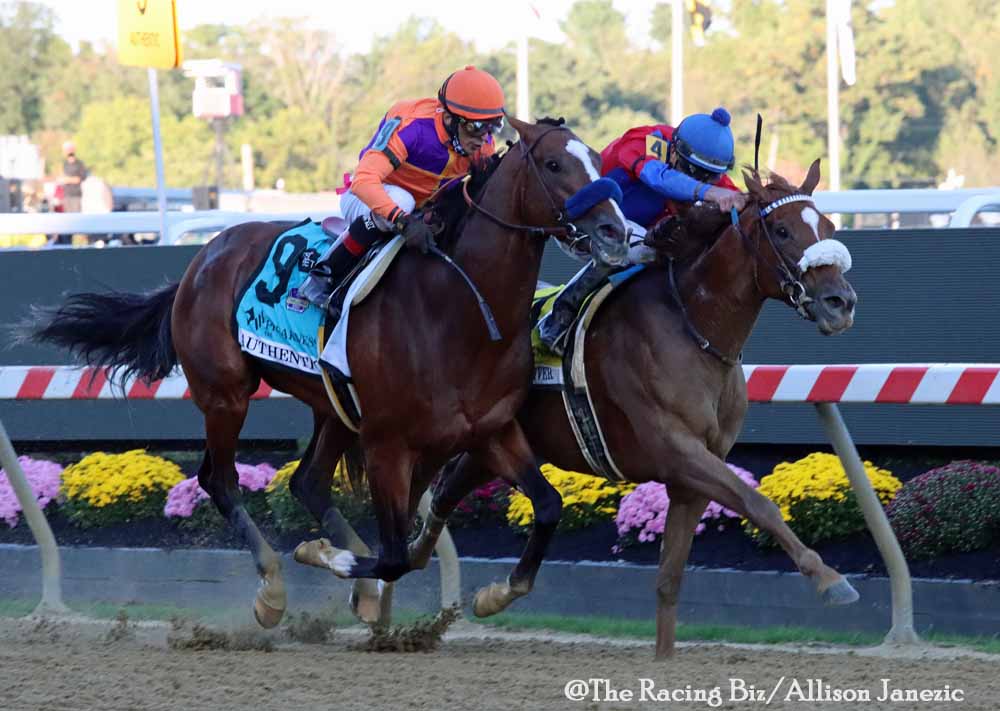 Kentucky Derby winner Authentic voted 2020 Horse of the Year