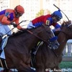 Panel series on race and social justice in the Thoroughbred industry launched