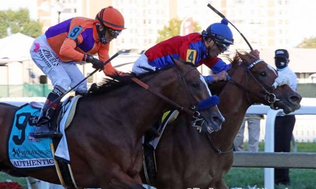 Swiss Skydiver takes Preakness for the ages