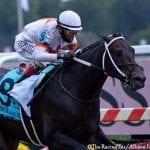 Preakness Profile: Jesus’ Team