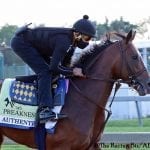 Preakness Profile: Ny Traffic