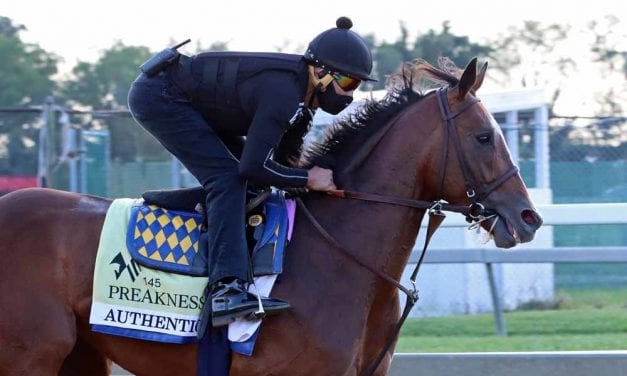 Preakness: Thursday morning gallery