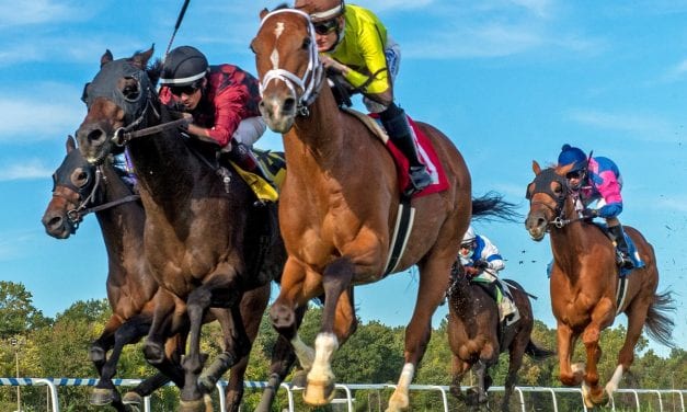 Virginia breeder program provides millions