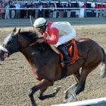 Thoroughbred Owner Conference delayed to 2021
