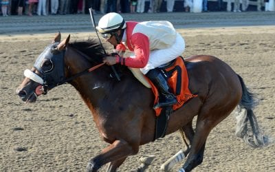 Wicked Strong to PIn Oak Lane for 2021