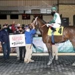 Jaxon Traveler heads Spectacular Bid noms