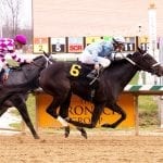 154 nominated to upcoming Laurel stakes