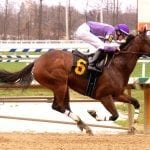Sham will not concede ’73 Crown to Secretariat